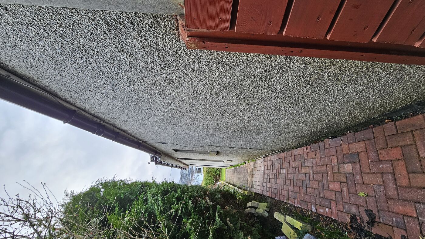 Side path — render showing algae and age