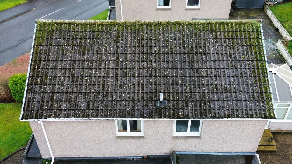 Roof with heavy moss and organic growth, before cleaning.